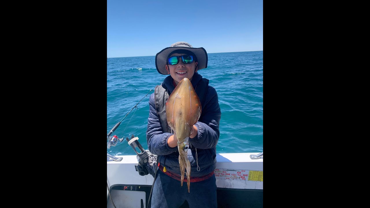 Port Hughes | King George Whiting, squid & Snook