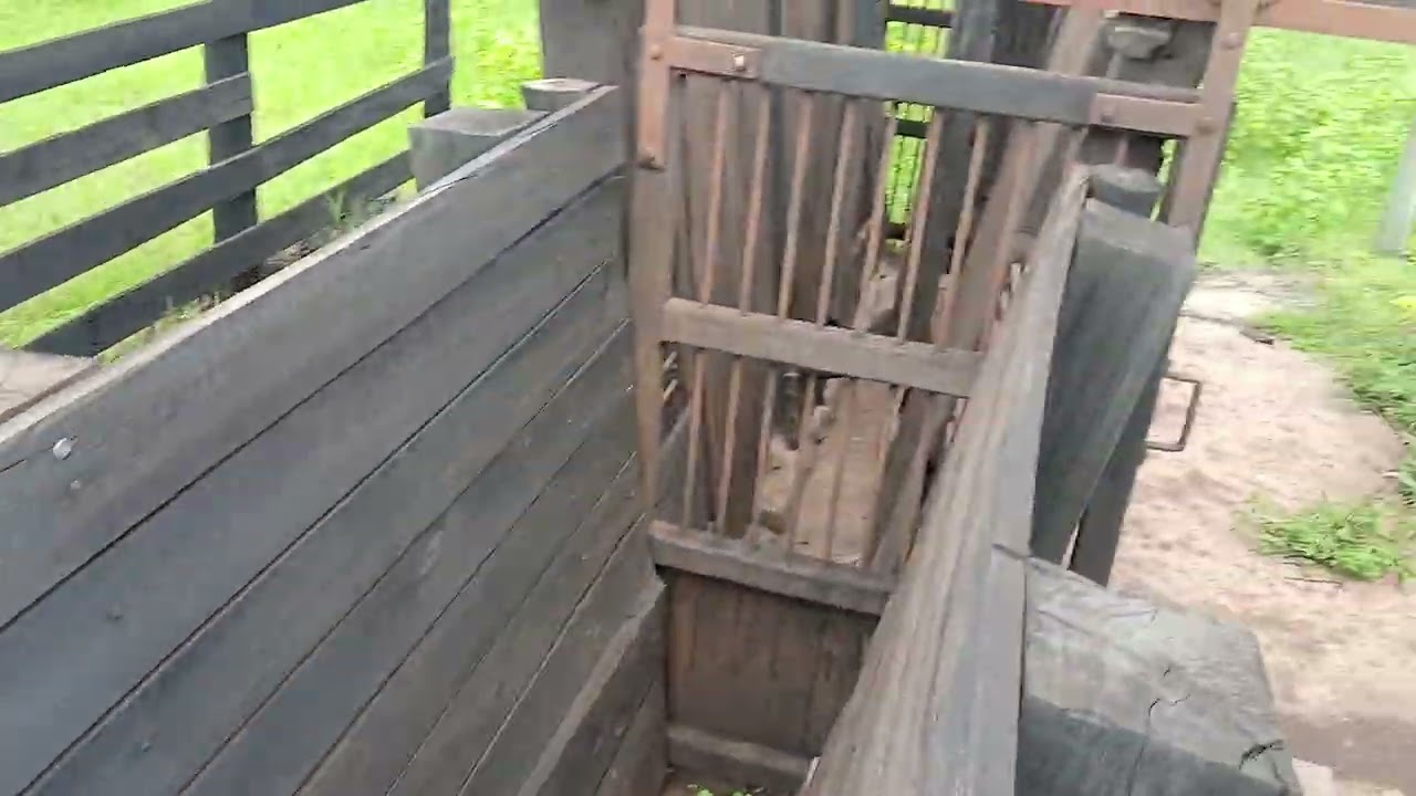 Na fazenda   outra  vezes  