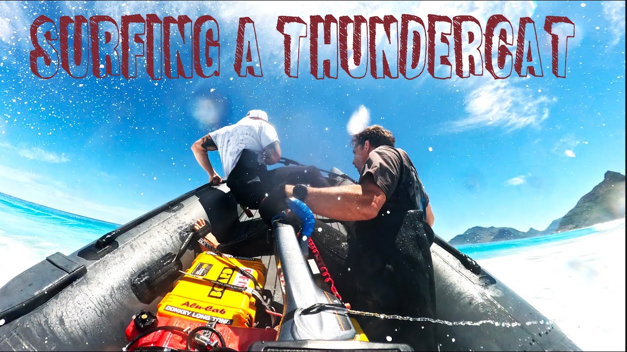 Thundercat Playing in the Surf