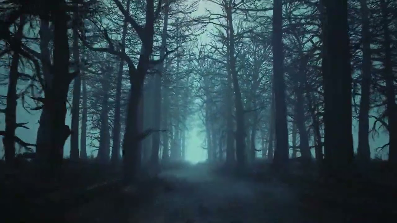 Looped animation of flying through a scary forest | Stock Footage