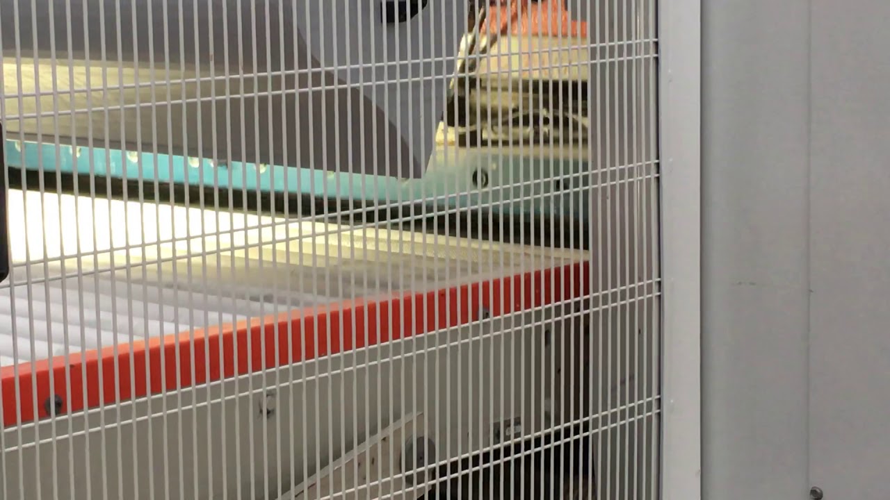 Pressatura di una piastrella in ceramica