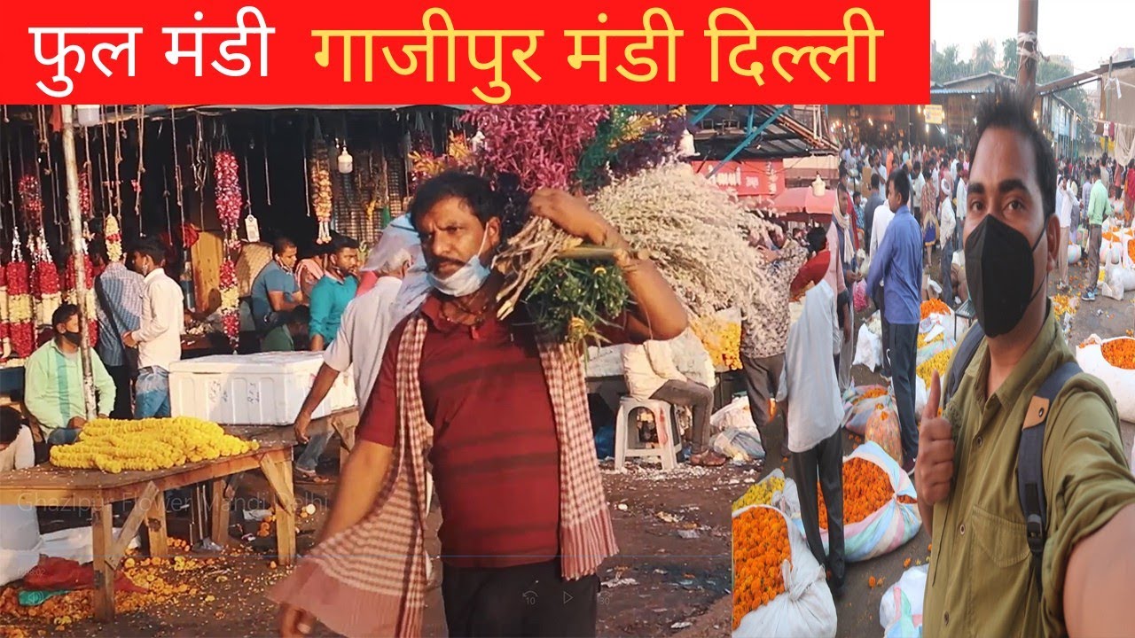 Ghazipur Flower Mandi Delhi (गाज़ीपुर दिल्ली की सबसे बड़ी फूलों की मंडी ) | MR. RK VLOG