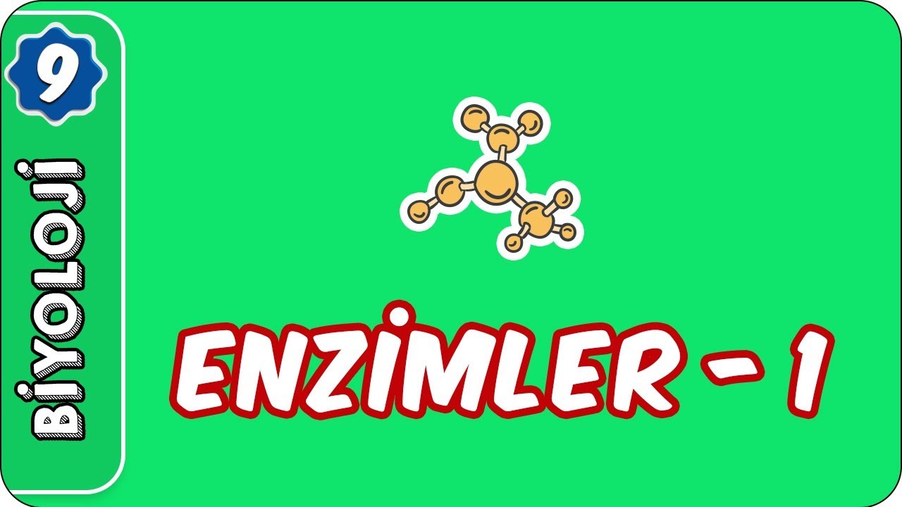 Enzimler-1 | 9. Sınıf Biyoloji