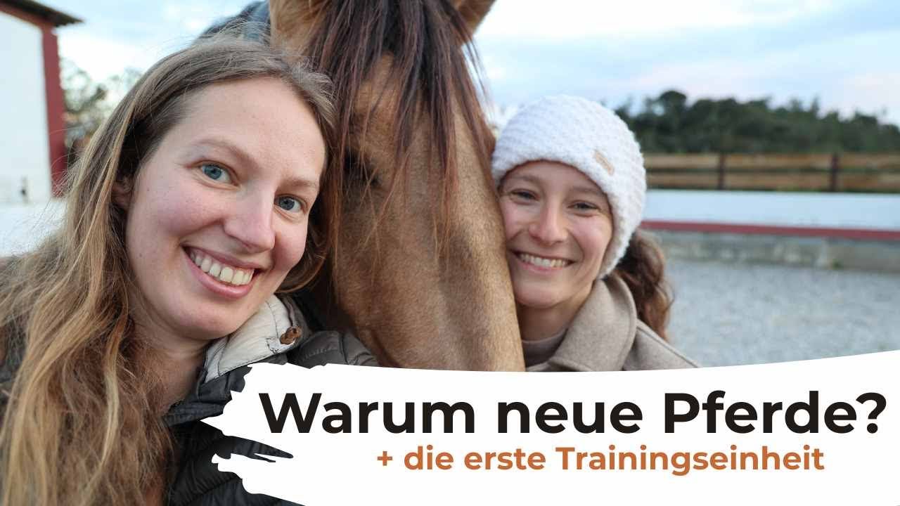 Warum neue Pferde? +erste Trainingseinheit mit Savel