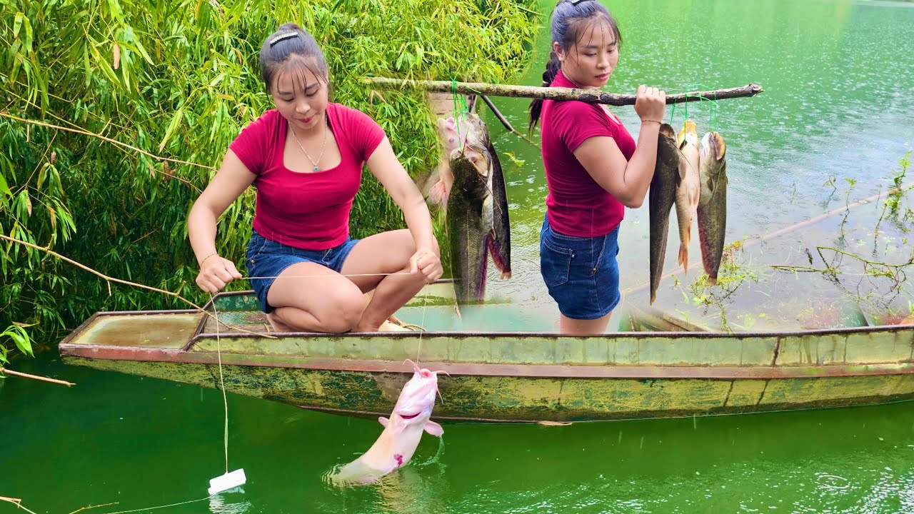 Hoang Luyen dropped her fishing hook overnight and caught a huge catch of catfish from the riverbed.