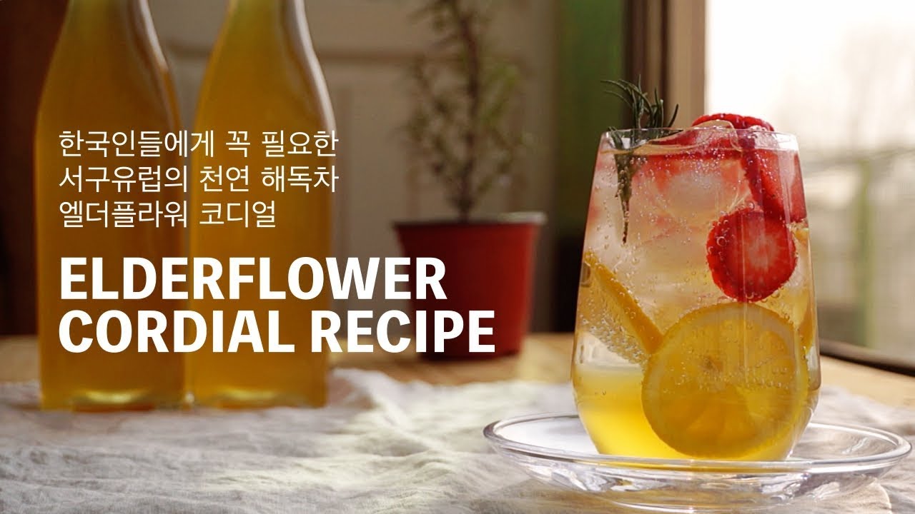미세먼지에 좋은 호흡기 청소부 엘더플라워 코디얼 제조법! 유럽인의 천연 해독차 ELDERFLOWER CORDIAL RECIPE - 데라세르나