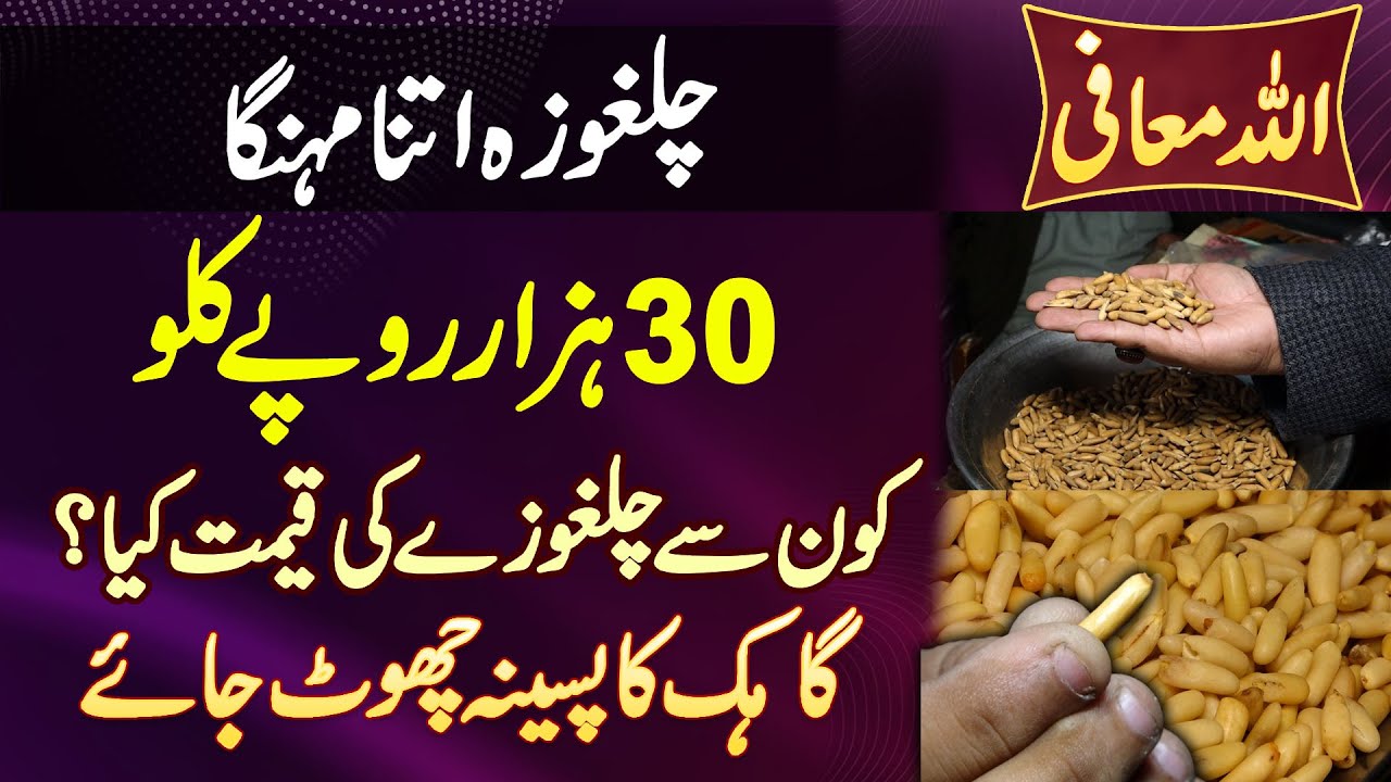 30000 Ka 1KG Chilgoza - Kaun Se Chilgoza Ki Kitni Price? Paise Sun Ke Customer Ke Paseene Nikal Jaye