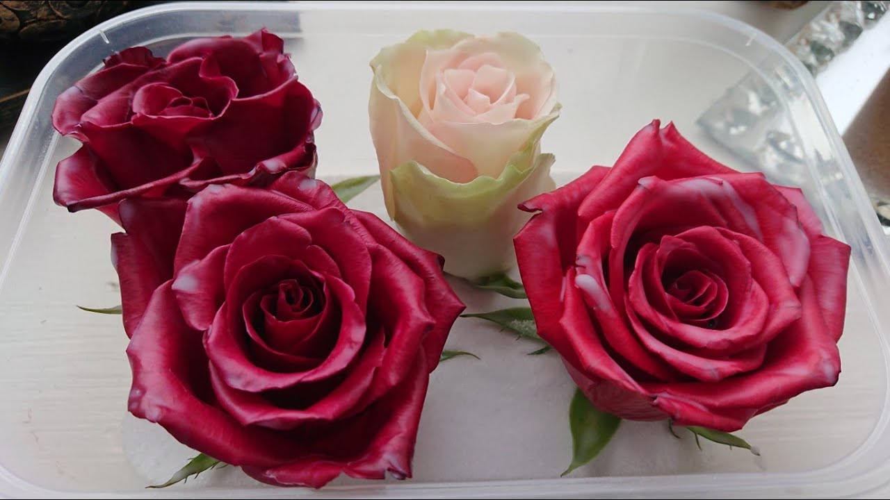 Preserving roses in wax