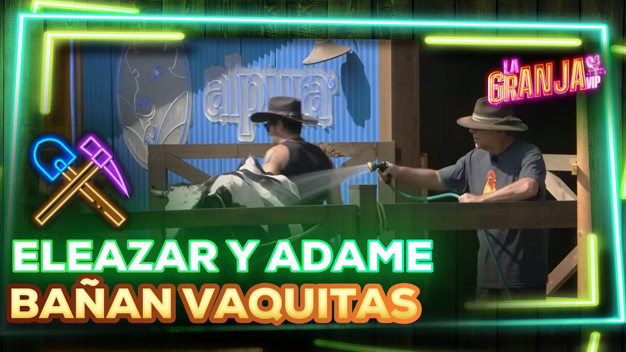 ¡Con todo en la chamba! Eleazara y Adame bañan a las vaquitas con mucho amor 🐄🧽❤️