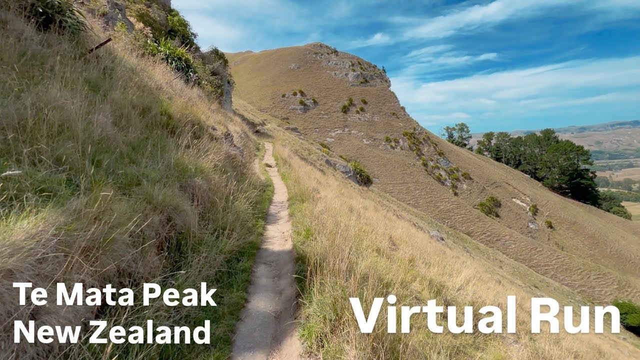 Virtual Trail Run | Treadmill Workout | Te Mata Peak, New Zealand | 4K