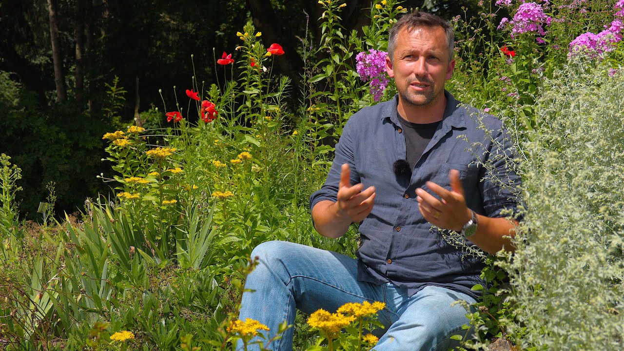 Teil 2: Die Lebensbereiche von Stauden im Garten