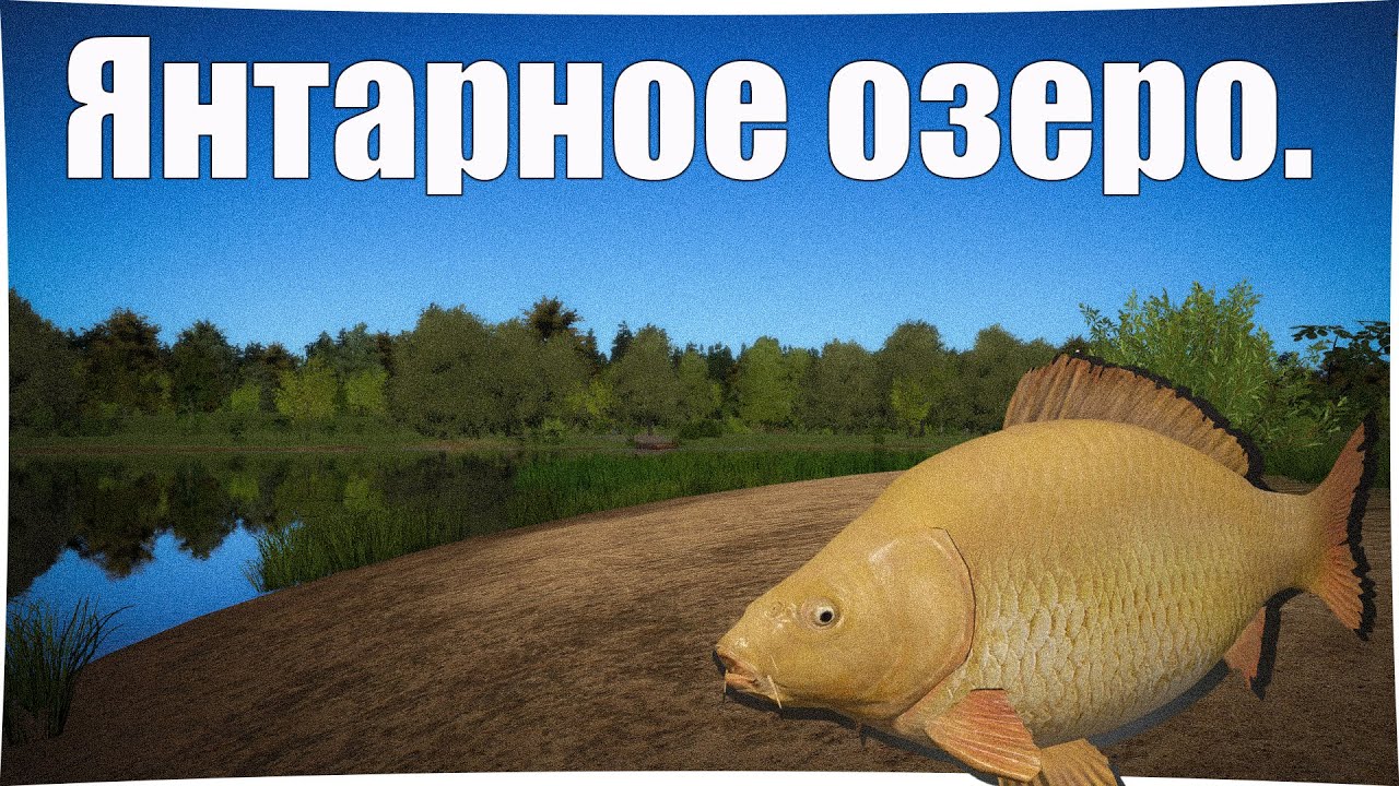 🔴LIVE RR4: 💰 Фармим серебра! Каждые 10 лайков – розыгрыш призов! 👉Прем рулетка.👍 РР 4 ждет! 🎣🏆