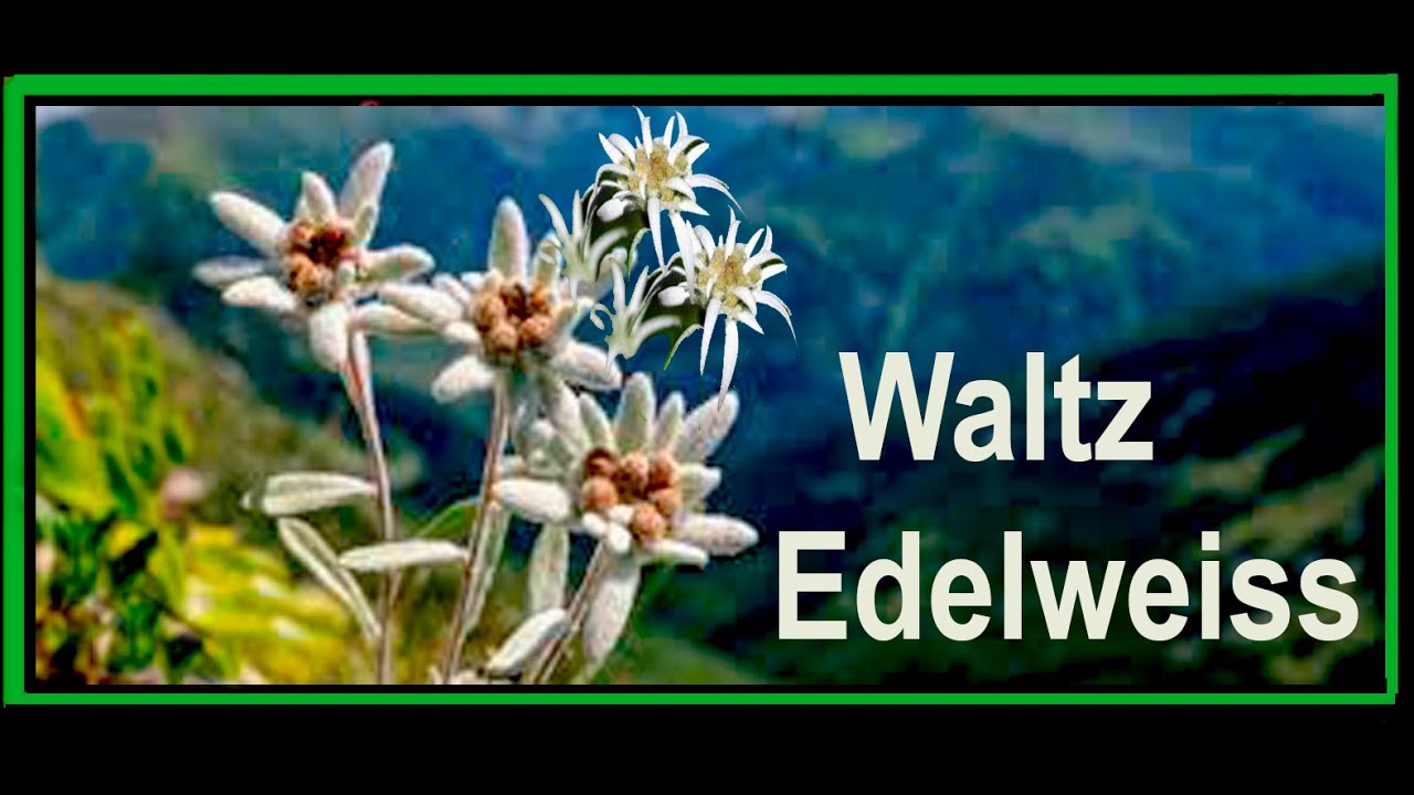 Waltz Edelweiss*Line Dance* Shanthie De Mel*Tony Evans Dance Studio Band*dancercise2health*Australia