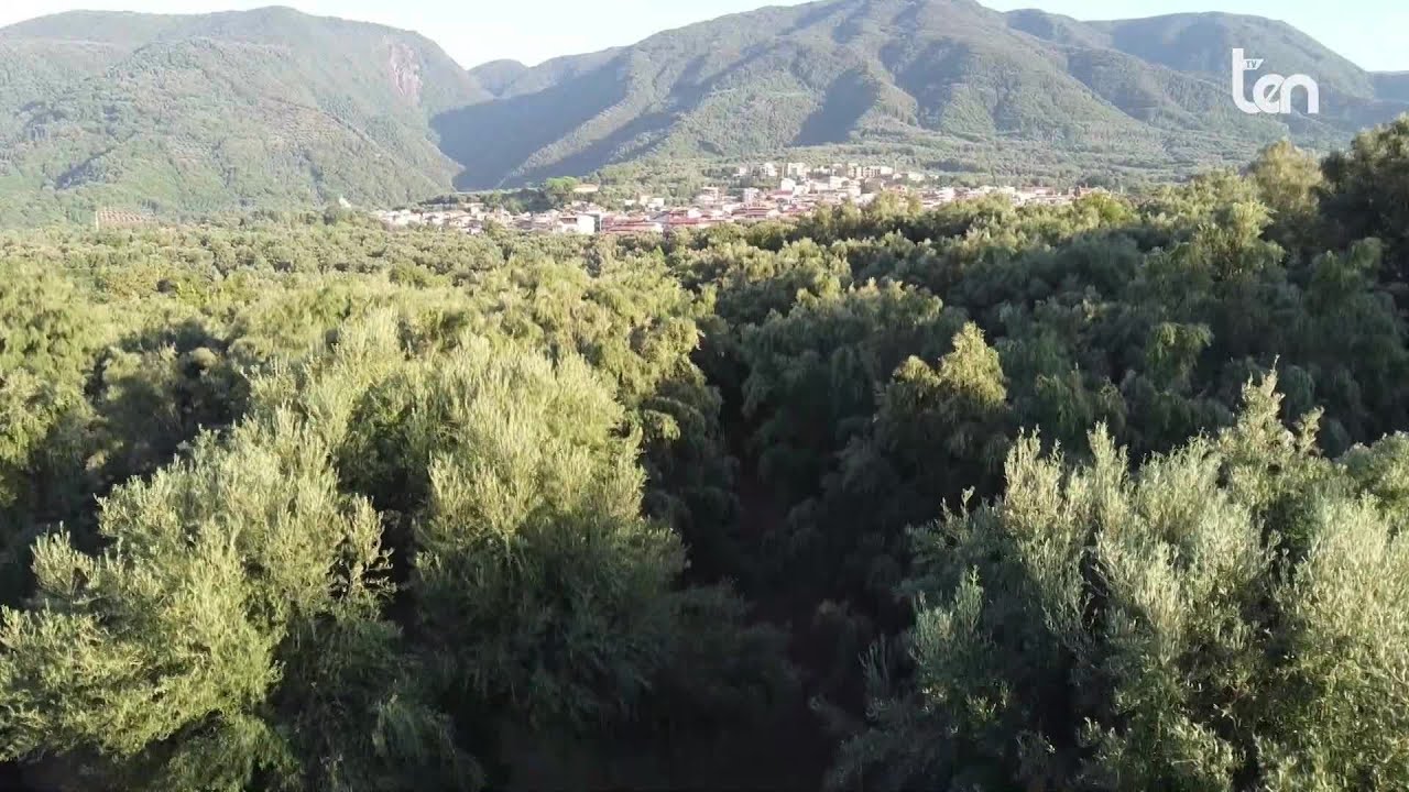 LA CALABRIA DEI SAPORI 09 luglio 2023