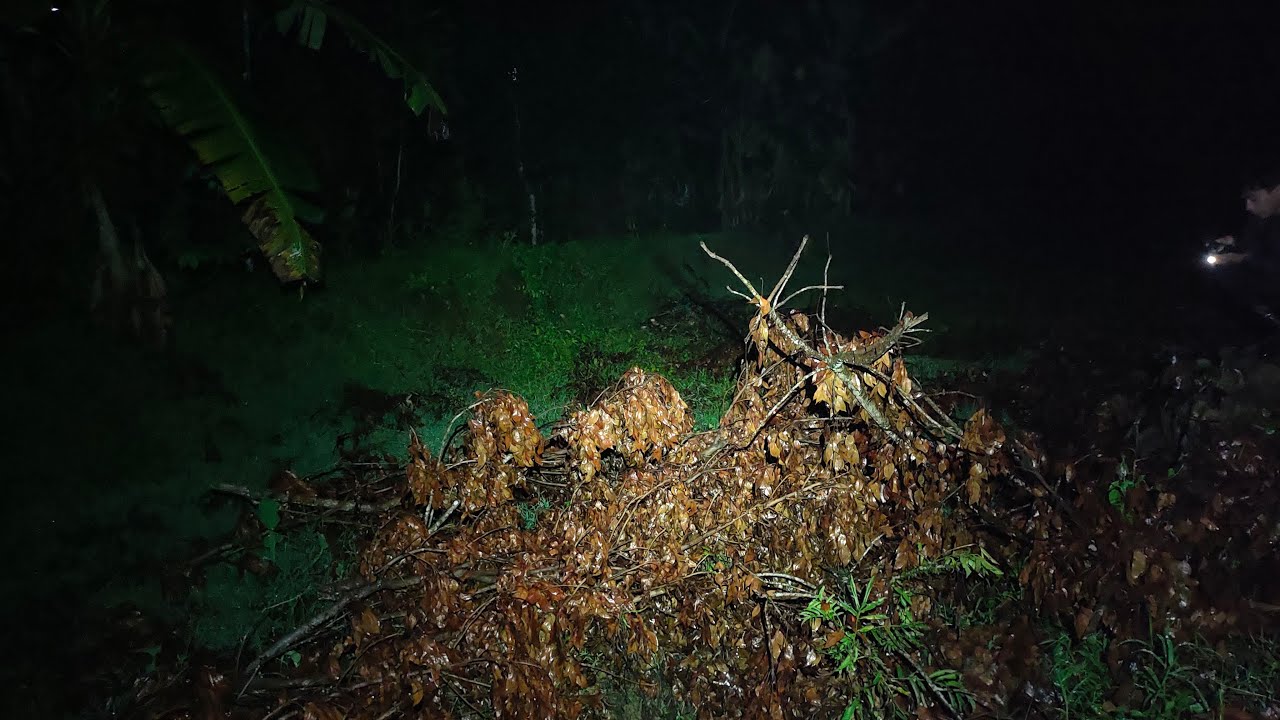 Cari Hantu Sehabis Hujan