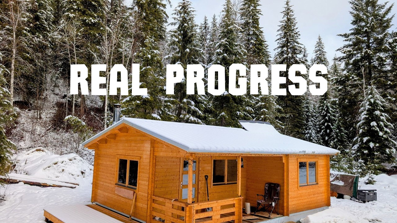 Cabin Build & Homestead Progress