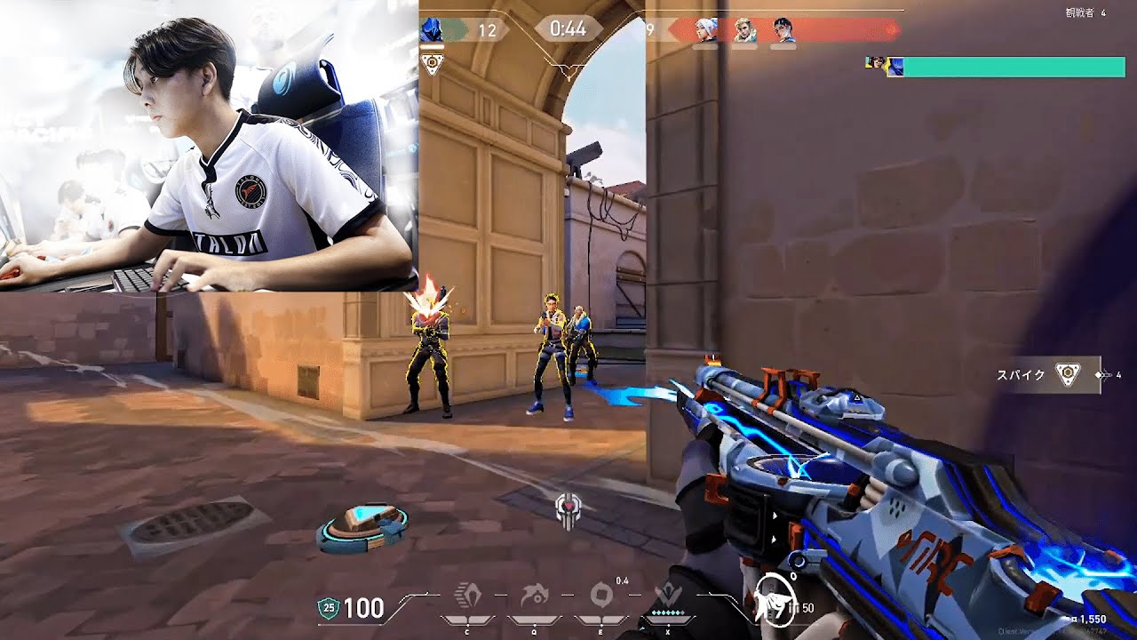 Primmie's Insane Stream Highlights