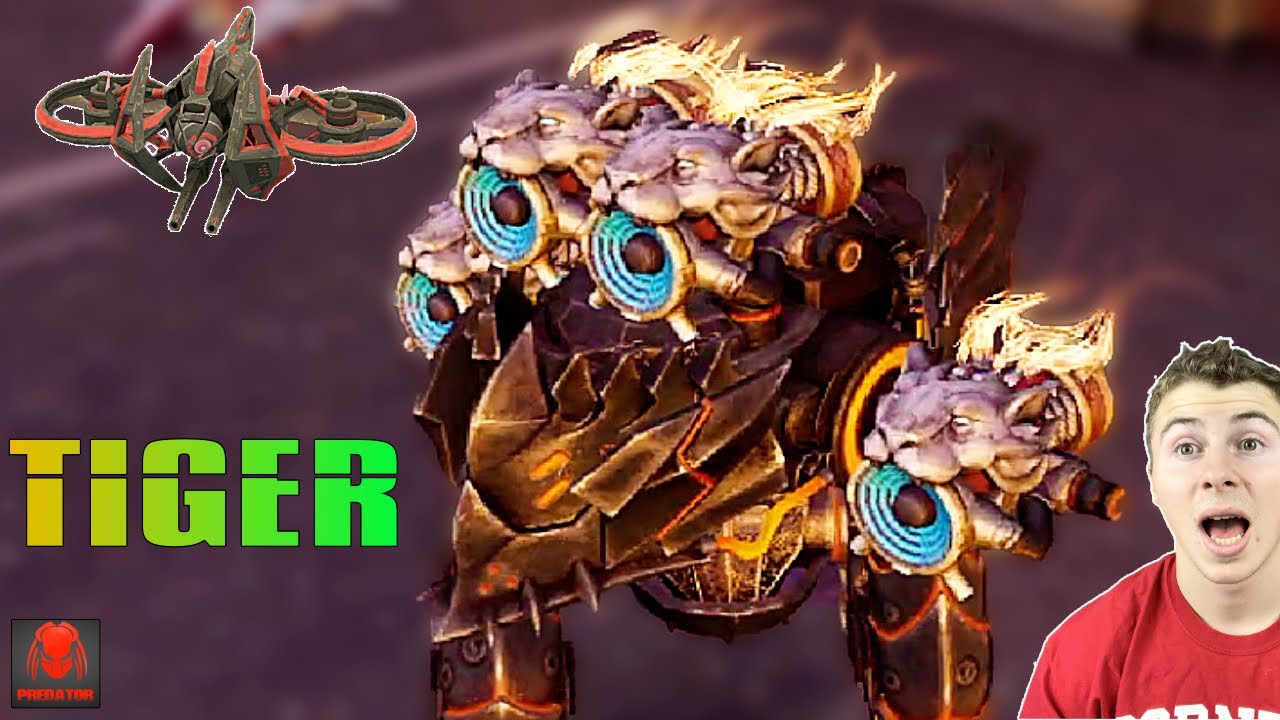 'TIGER' Scatter Blitz & Leo - The Best Light Weapon In The Game | CRUSHING Enemies In Seconds | WR