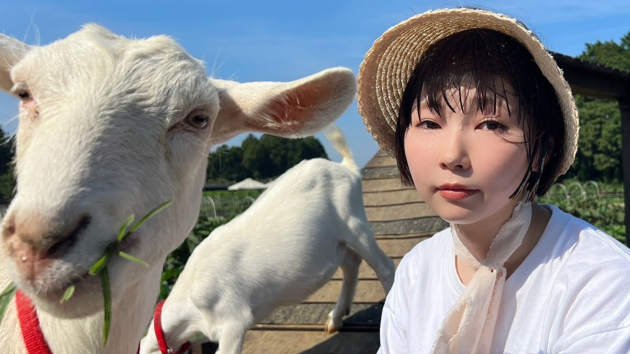 突然ですがお休みをいただきます。