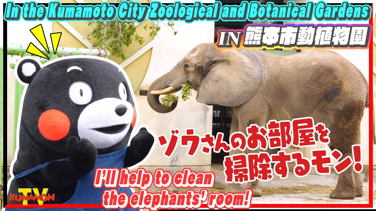 くまモンTV #141 くまモンのお手伝いin熊本市動植物園！ゾウさんのお部屋を掃除するモン！！ ( Kumamon TV #141)