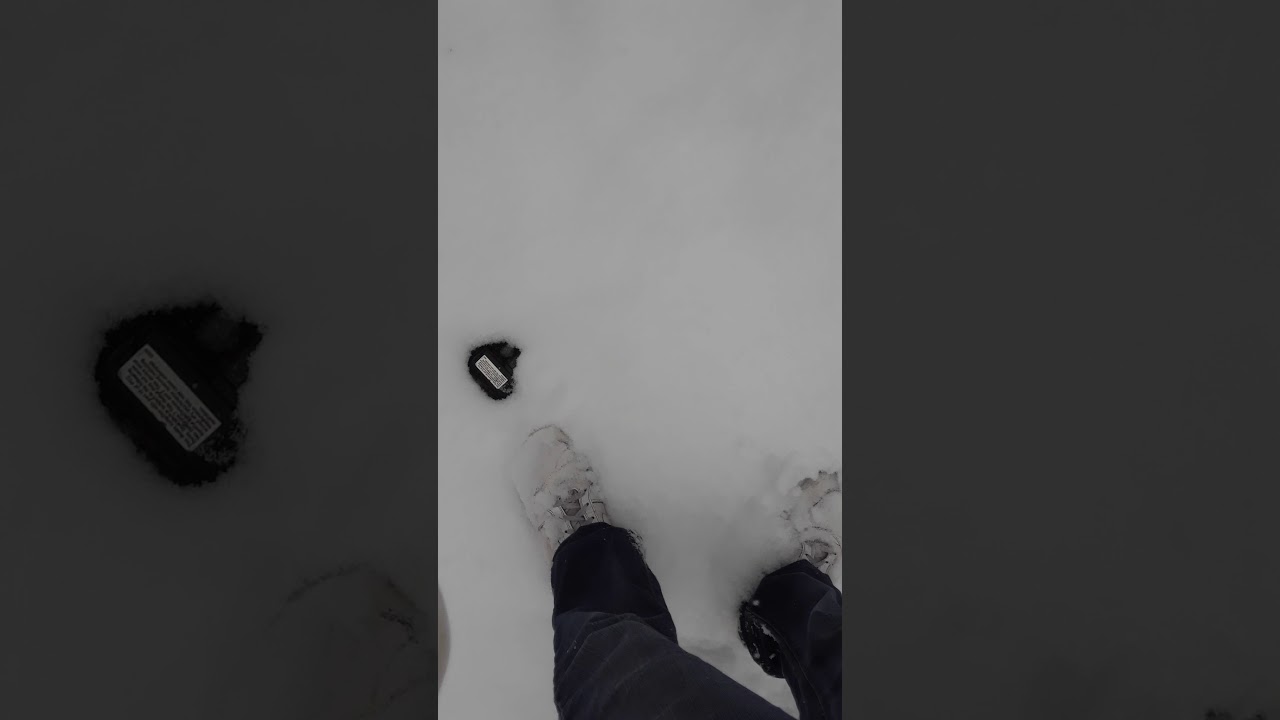 I'm not black I'm dark white