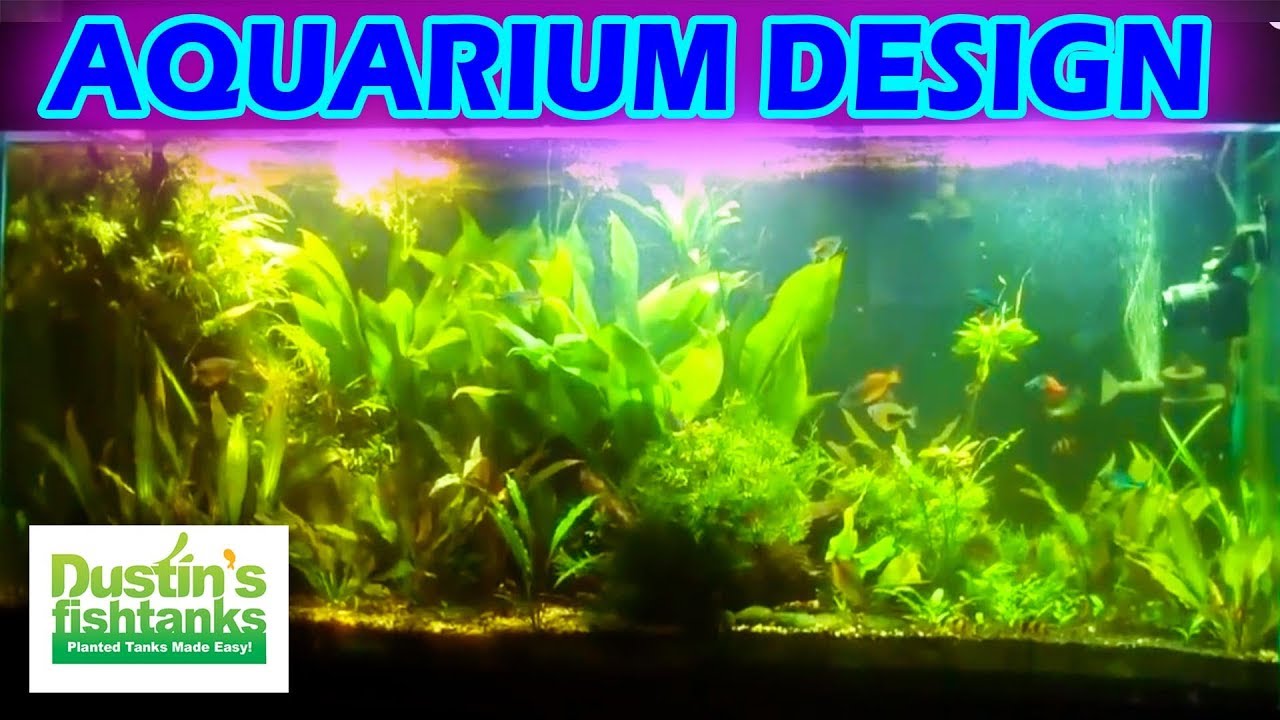 How To Set Up a Planted Aquarium Design. Desiging a Planted Tank Aquascape.