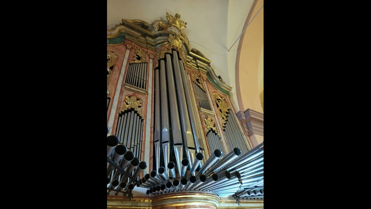 &Oacute;rgano Juli&aacute;n de la Orden (1760) de Villar de Ca&ntilde;as - Antonio Mart&iacute;n y Coll: Fol&iacute;as