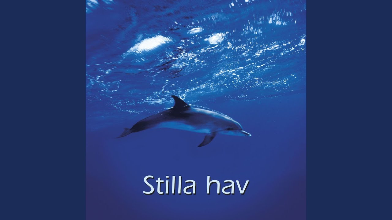V&aring;gor