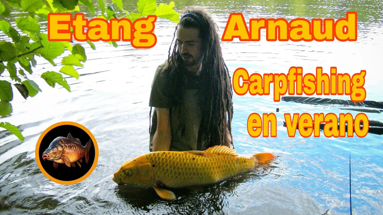 Etang Arnaud - Carpfishing en verano