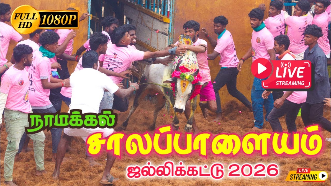 🔴LIVE : நாமக்கல் சாலப்பாளையம்  ஜல்லிக்கட்டு 2026 | Salapalayam Jallikattu 2026