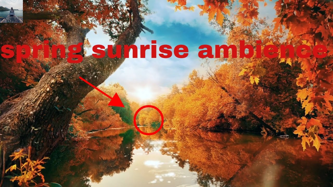 Spring Sunrise Ambience