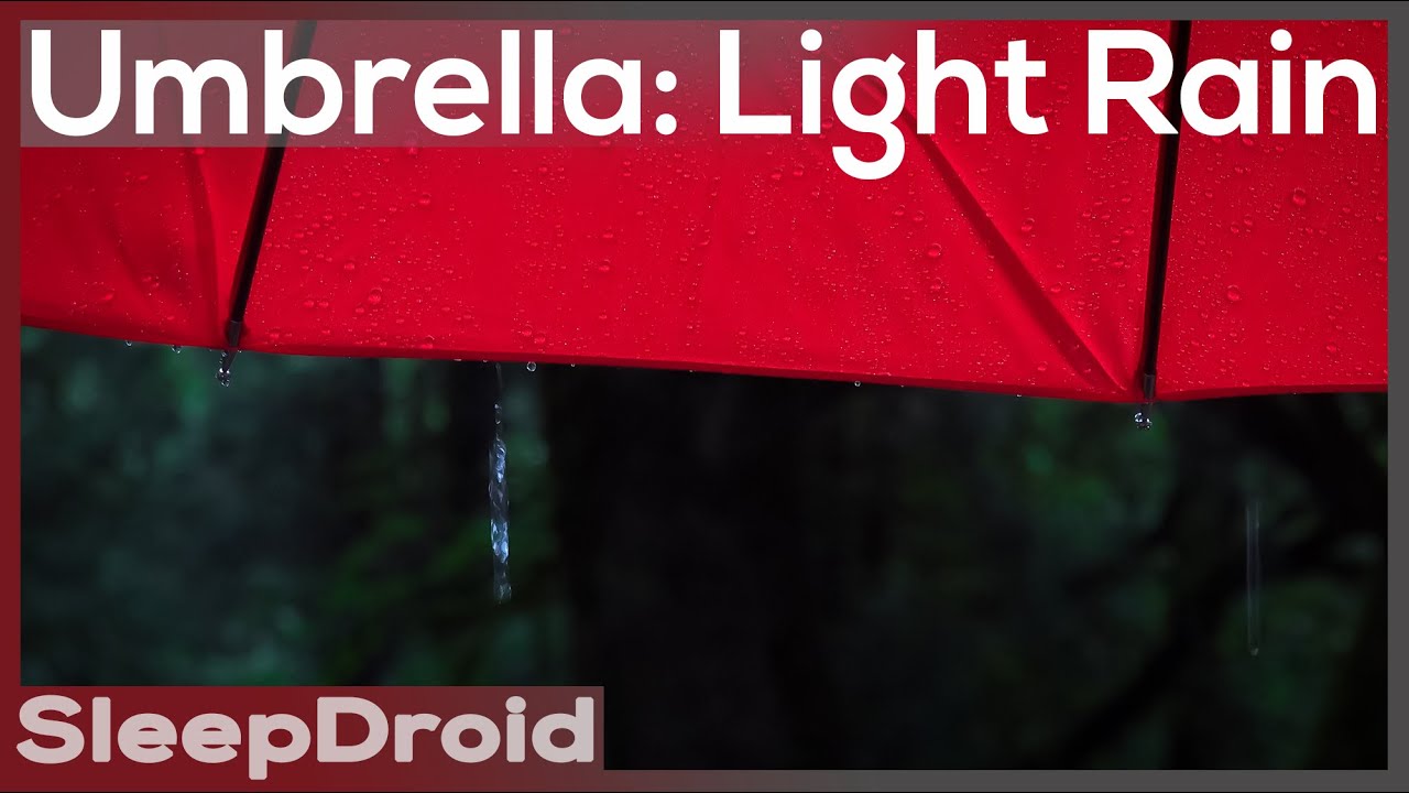► Light Rain on an Umbrella ~Rain Sounds for Sleeping, Red Umbrella in the Rain (Lluvia Para Dormir)