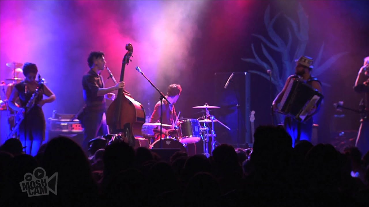 The Barons Of Tang - Even If You're Missing Fingers You Can Make A Fist (Live in Sydney) | Moshcam