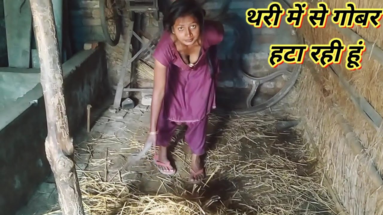 थरी में से गोबर हटा रही हूंvlogs||vlog||viral vlog||#vlog#trending#viralvlogs