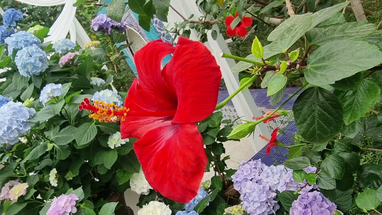 약한 나로 강하게   연주