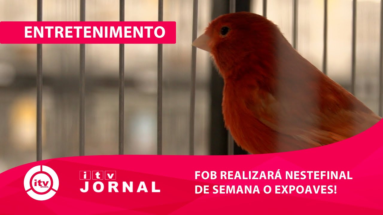 EVENTO EXPO AVES DA FOB IRÁ RECEBER MAIS DE 20 MIL AVES