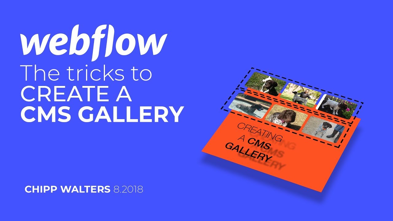 CMS Gallery tricks in Webflow