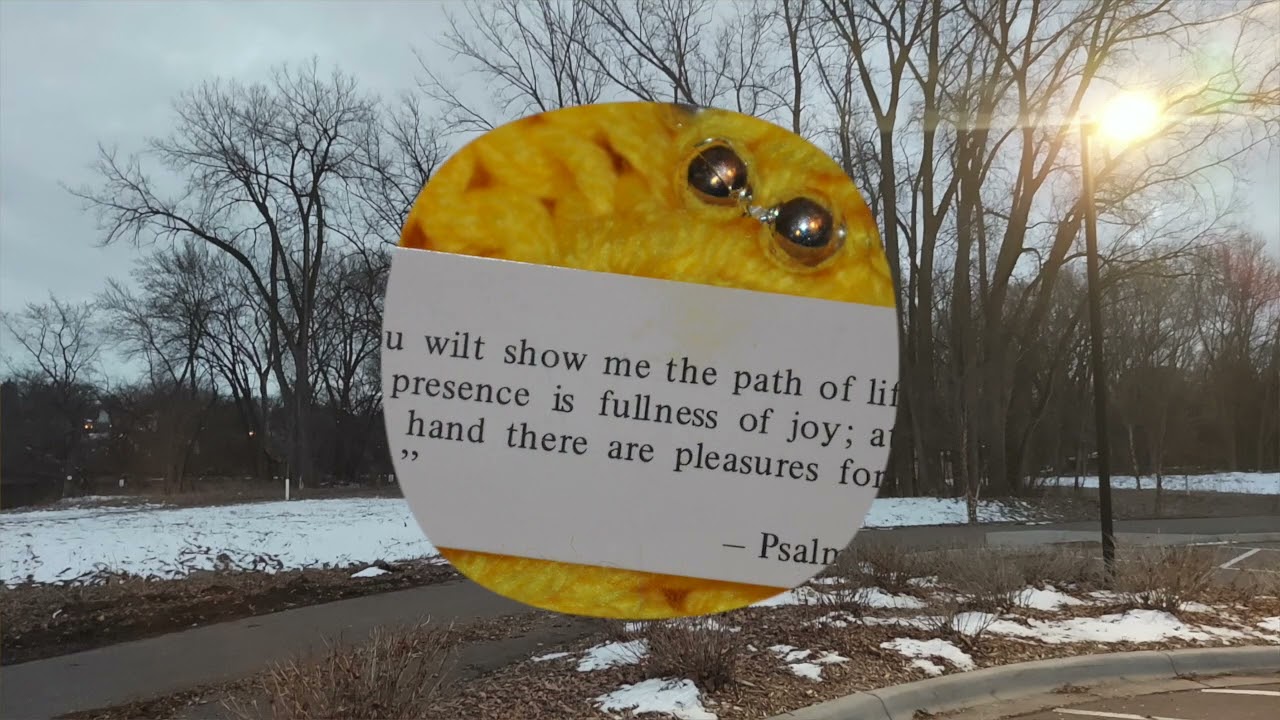 I will follow You my Savior
