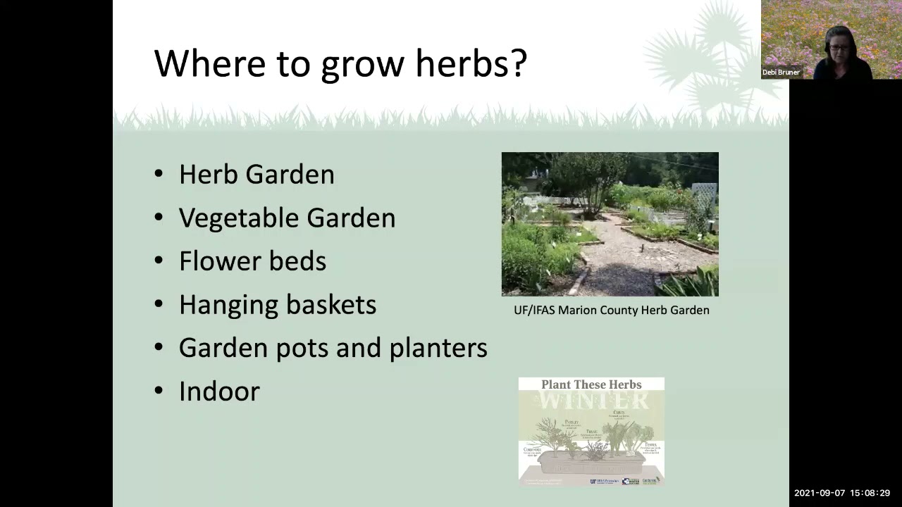 Growing Herbs