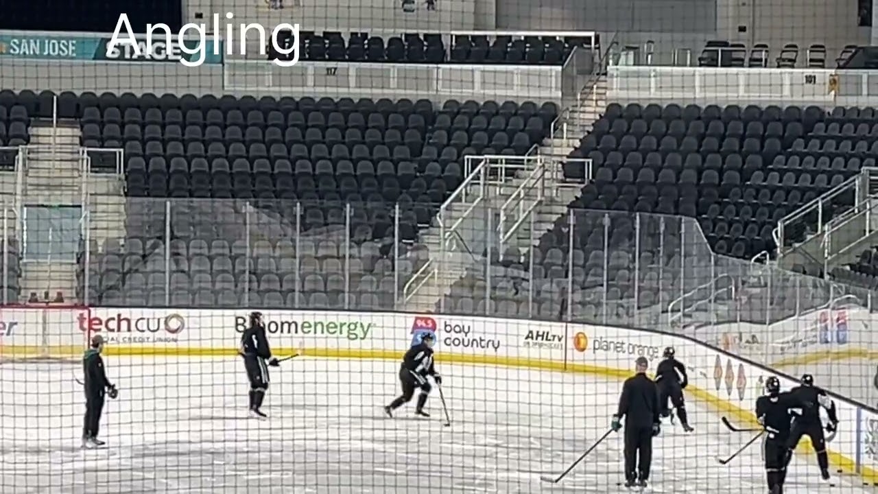 Pro Conditioning Day: San Jose Barracuda Practice
