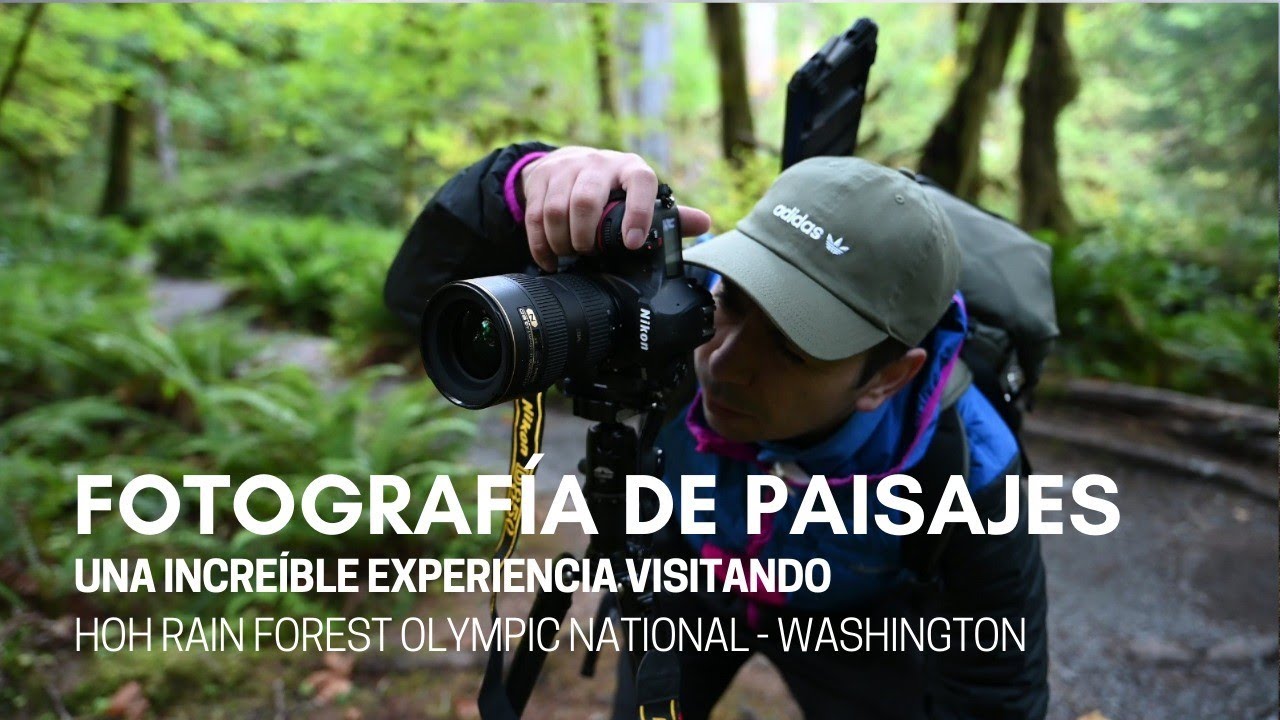 Fotografía de paisaje en un bosque encantado! Usando 16-35mm