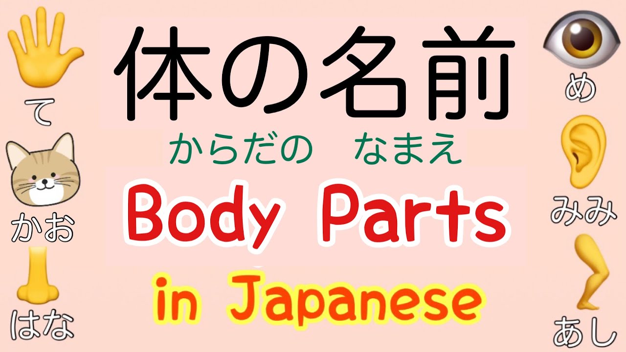 体の名前（からだの　なまえ）Body Parts in Japanese 日本語（にほんご）for beginners 初心者  テストあり　with quiz