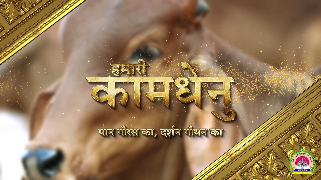 गौशाला | VADTAL LAXMINARAYANDEV GAUSHALA | Full Documentary Film | Vadtaldham | Hamari Kamdhenu