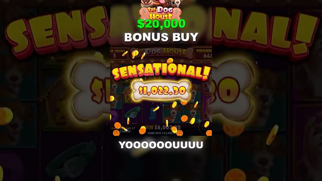 I Did a $20,000 Bonus Buy on Dog House Megaways and IT PAID!