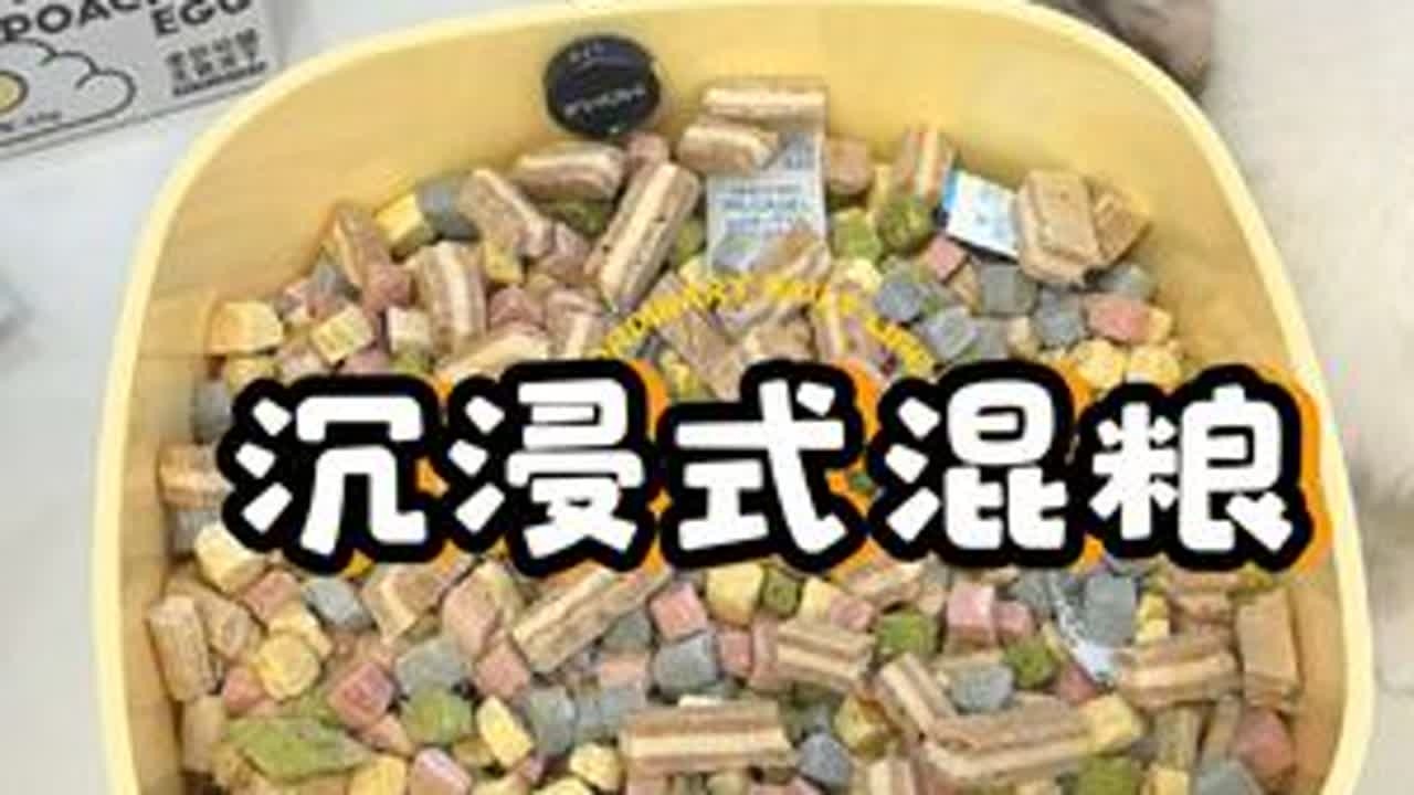 沉浸式混粮｜好看的彩虹混粮桶#混冻干 #萌宠出道计划 #铲屎官日记 #养猫日常 #沉浸式