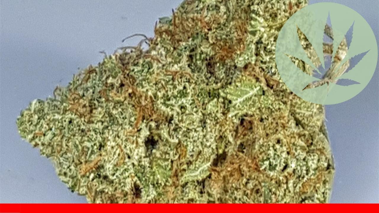 Grapefruit Kush - All About This Strain