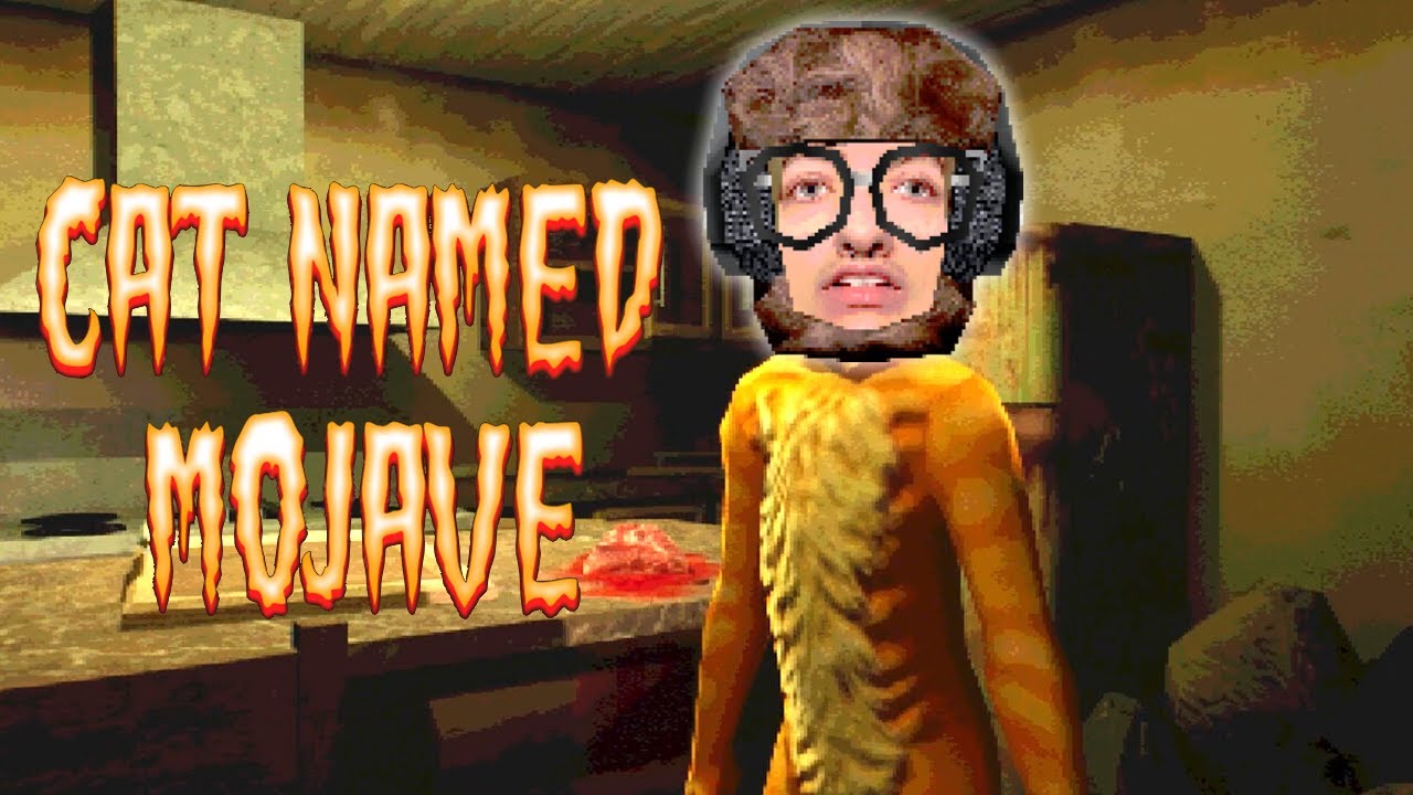 FunkyFrogPlays CAT NAMED MOJAVE
