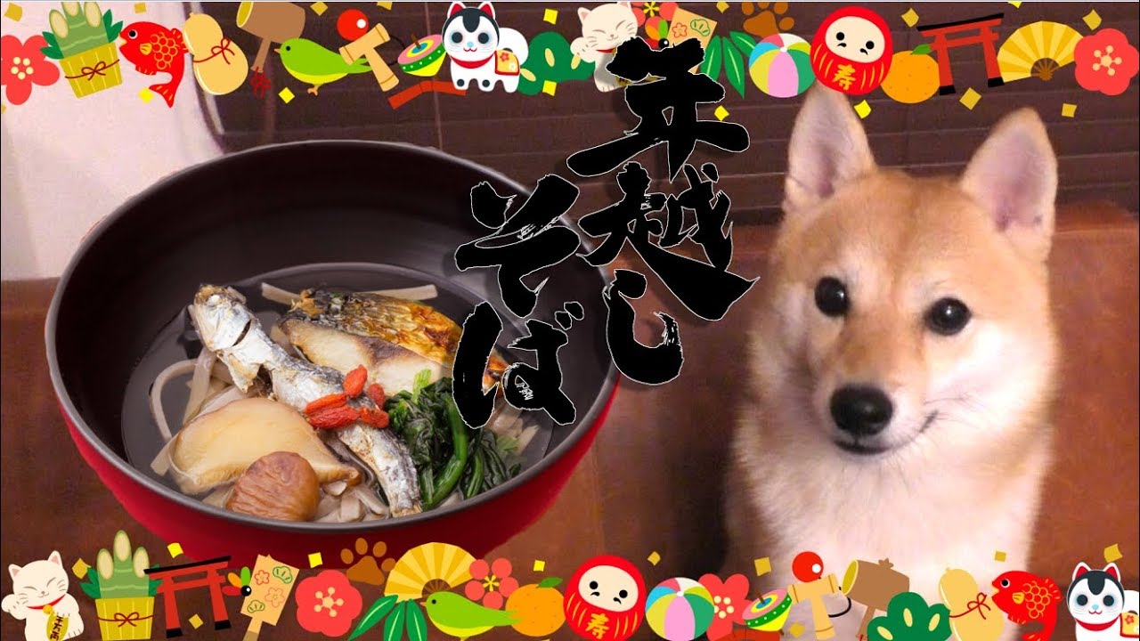 犬用「年越しそば」を食べてみたら悲惨なことになった年末の日