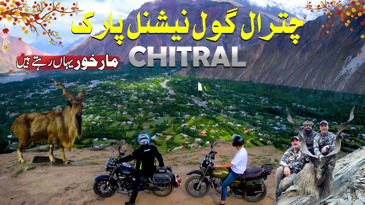 Explore Chitral Gol National Park | Home of Markhors | NewDestination For Tourists | Chitral Valley