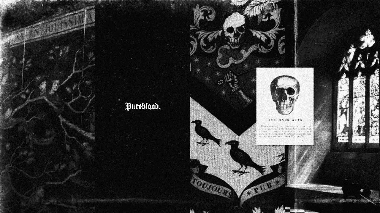 𝐩𝐥𝐚𝐲𝐥𝐢𝐬𝐭 | The House of Black | 해리포터